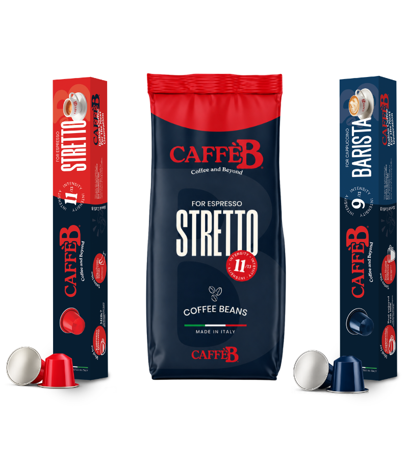 Stretto B & Barista B lineup