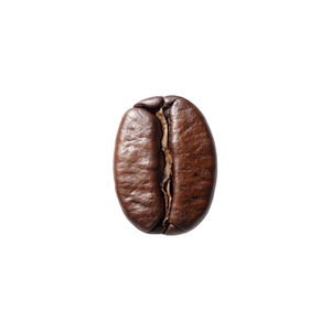 Single coffee bean on a white background